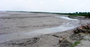 Silt deposits on the Kosi river, Bihar